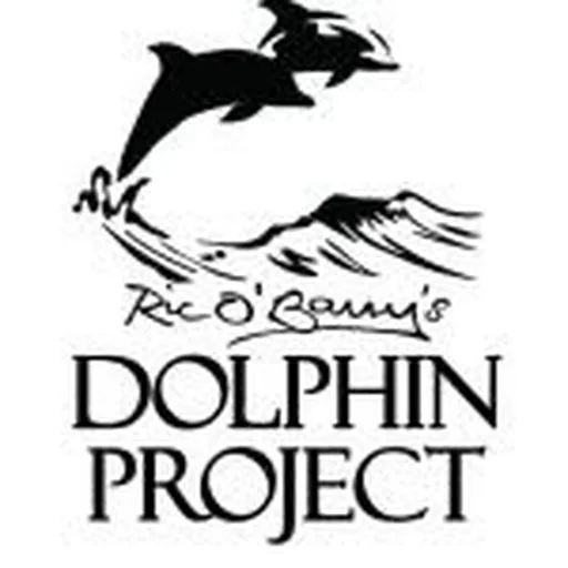 @dolphin_project profile image