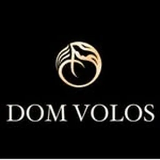 @dom_volos_kyiv profile image