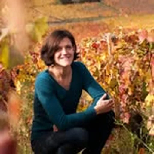 @domaine_hospicesdebeaune profile image
