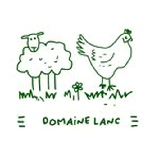 @domainelanc profile image
