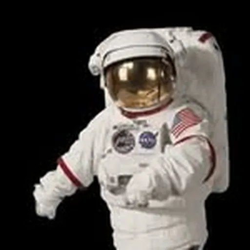 @domiritz profile image