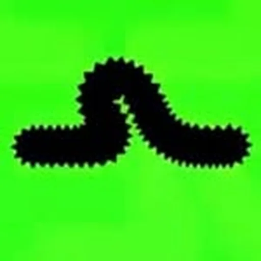 @domply_ profile image