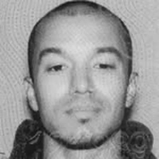 @domstills profile image