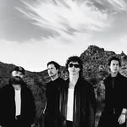 @donbroco profile image