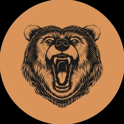 @doncreamoficial profile image