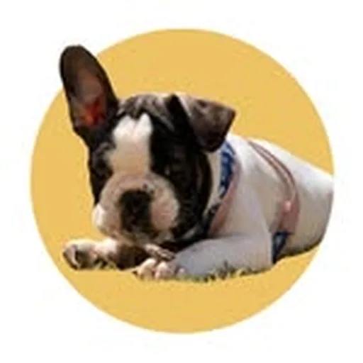@doodoosnack profile image