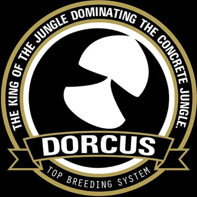 @dorcus_tbs profile image