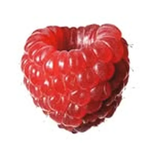 @dorphnis profile image