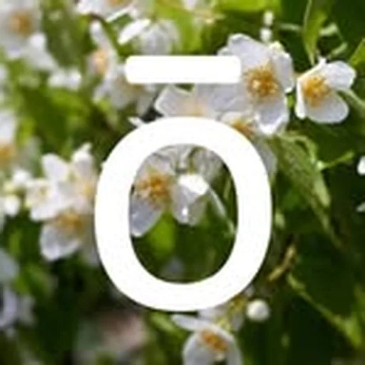 @doterrabusiness profile image