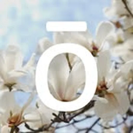 @doterraespanol profile image