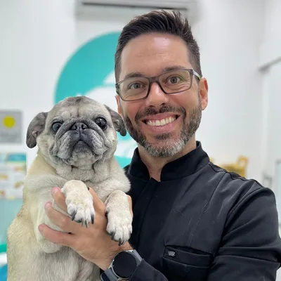 @doutorpug profile image