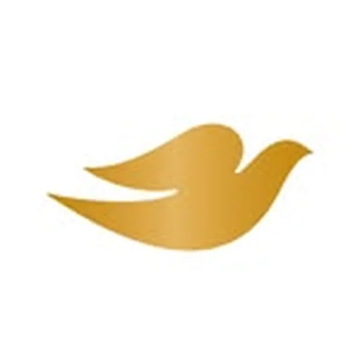 @dovebrasil profile image