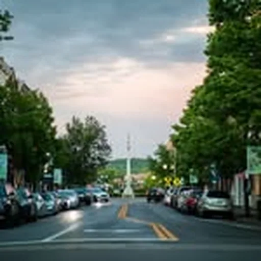 @downtownfranklintn profile image