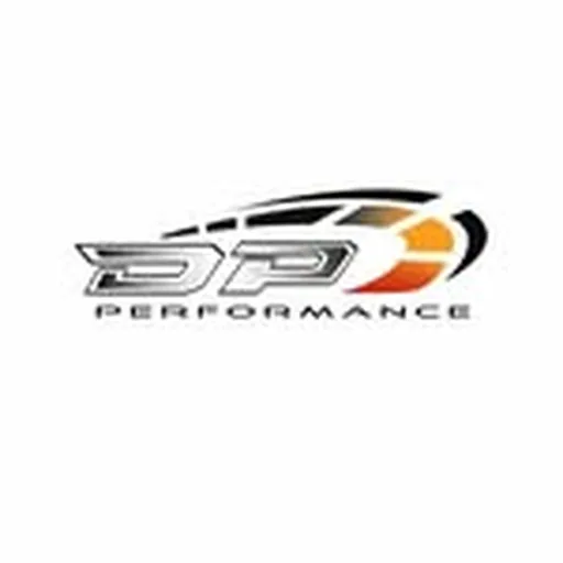 @dp_performancee profile image