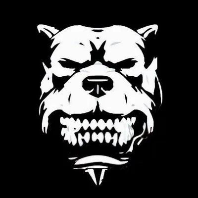 @dpacatl profile image