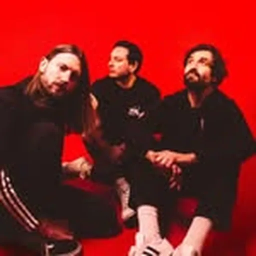 @dpuofficial profile image