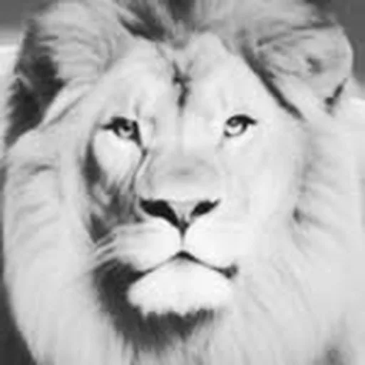 @drabusheyka profile image