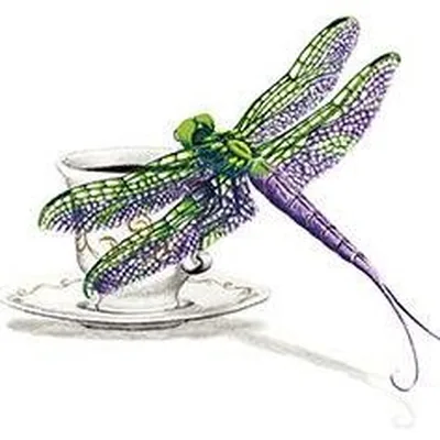 @dragonflytearoom profile image
