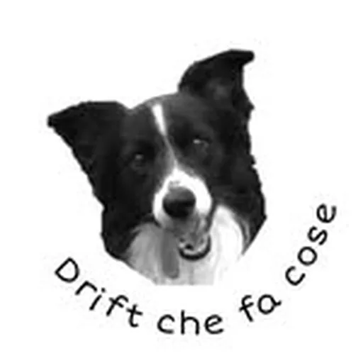 @driftchefacose profile image