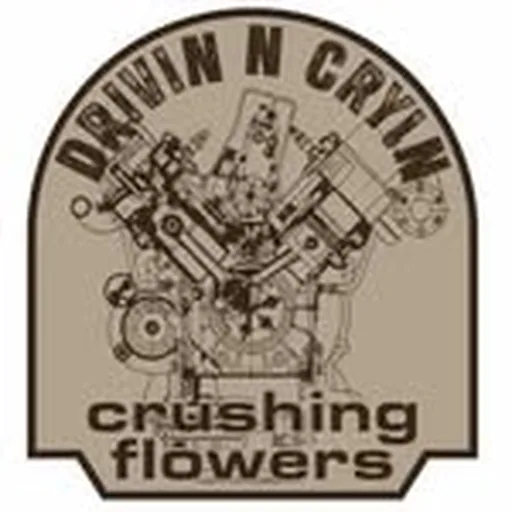 @drivinncryin profile image