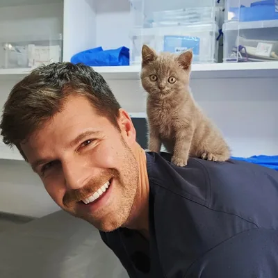 @drlazaris_vet profile image