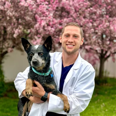 @drmurrayhospicevet profile image