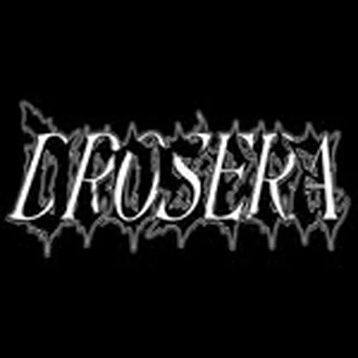 @droserafl profile image