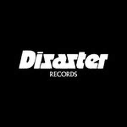 @dsstrrecs profile image