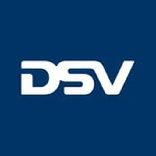 @dsv_us profile image