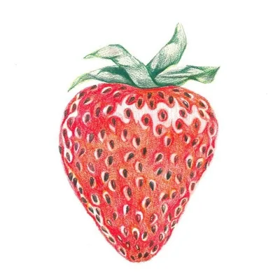 @dtlbfarmersmarket profile image