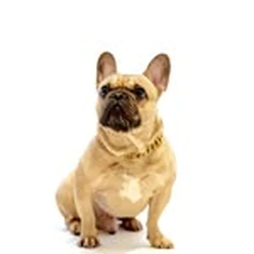 @dubr_evr profile image