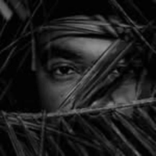 @dudardisco profile image