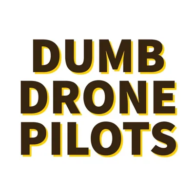 @dumbdronepilots profile image