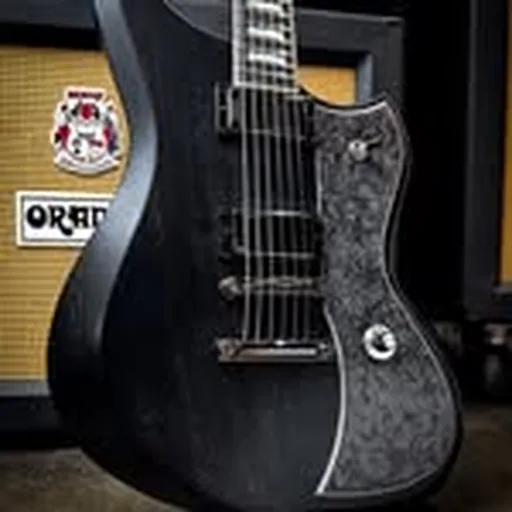 @dunable_guitars profile image