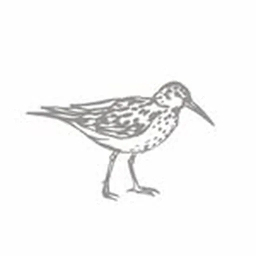 @dunlinauberge profile image