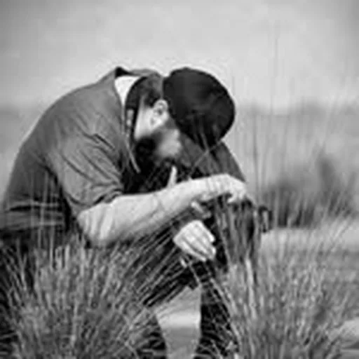 @dusted_lens profile image
