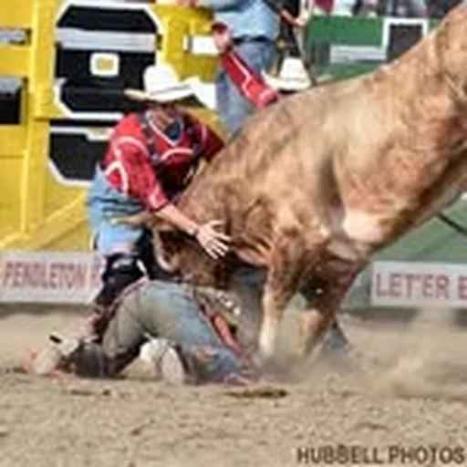@dusty_tuckness profile image