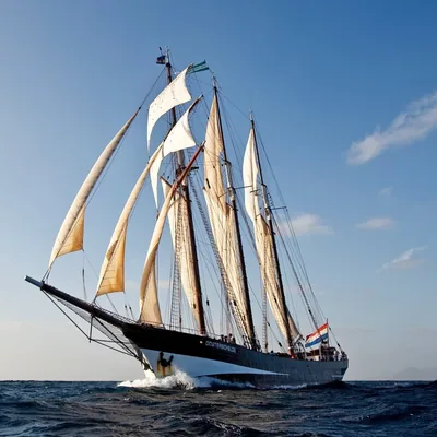 @dutchtallship profile image
