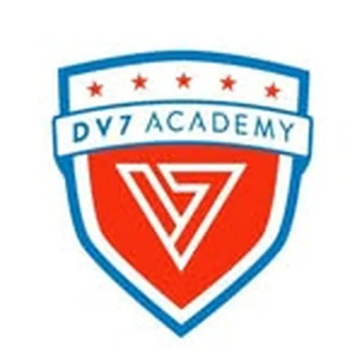 @dv7academy profile image