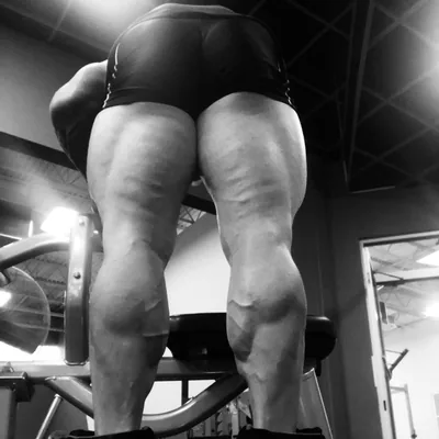 @dyehard_bodybuilding profile image