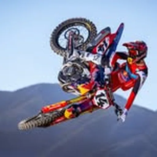 @dylanferrandis profile image