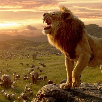 @earths_amazing_animals profile image