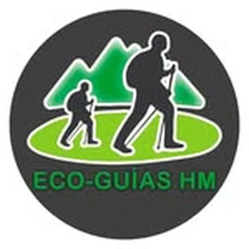 @ecoguiashm profile image