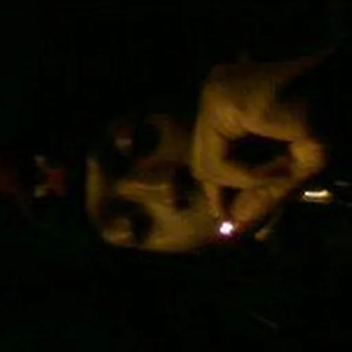 @eddykvsh_ profile image