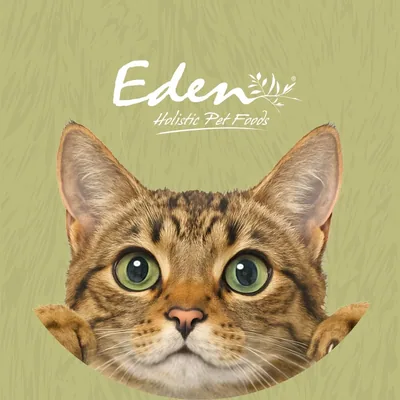 @edencatfoods profile image