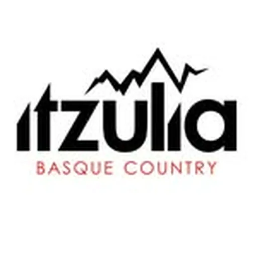 @ehitzulia profile image