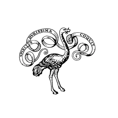 @einaudieditore profile image