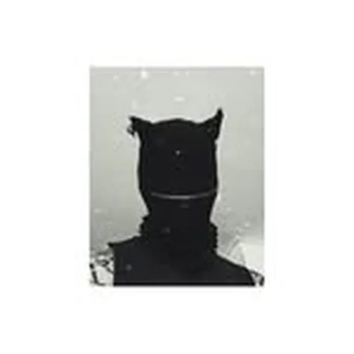 @el_skinny_ profile image