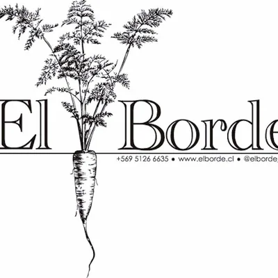 @elborde_chile profile image