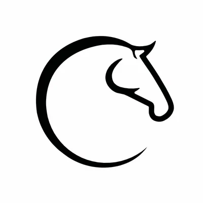 @elcedroqh profile image